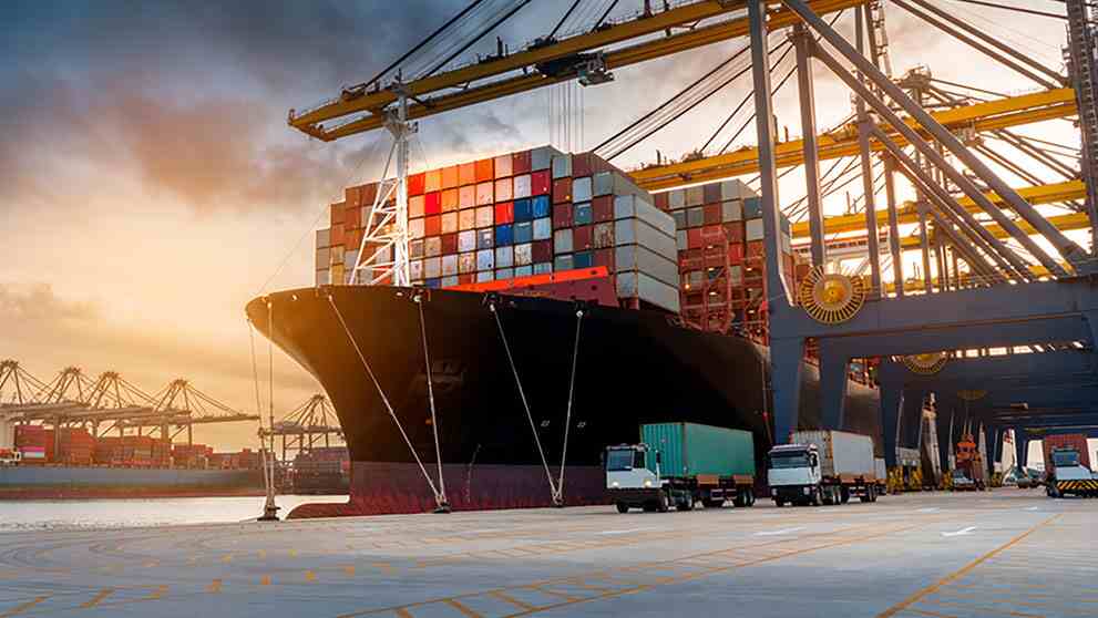 Logistics & Supply Chain Coordination